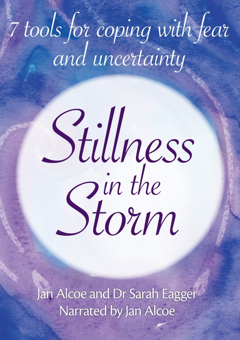 StillnessInTheStormsquareaudiobookcover1